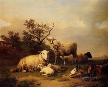  sheep - Belgium Verboeckhoven Eugene Sheep With Resting Lambs And Poultry In A Landscape